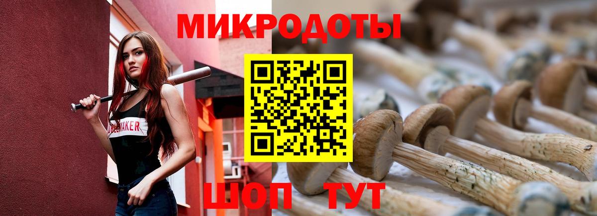 Галлюциногенные грибы Cubensis Тулун
